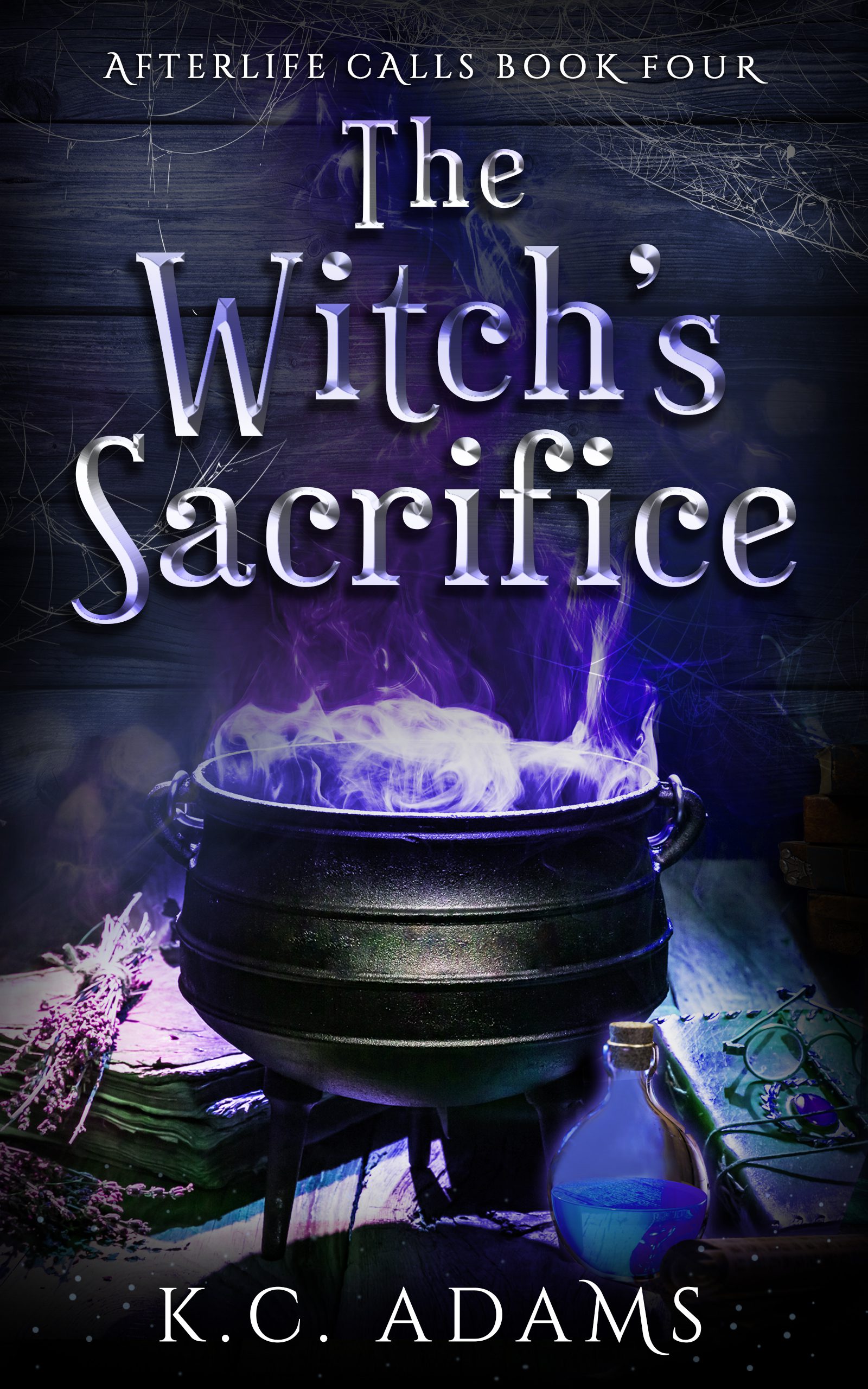The Witch's Sacrifice cover
